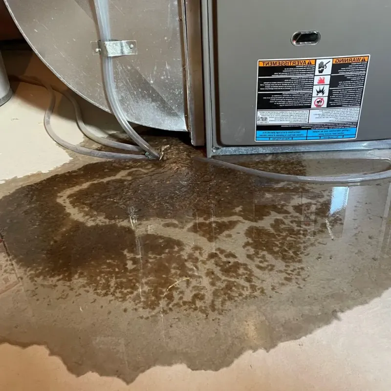 Pipe Burst and Leak Restoration in Valley Cottage, NY